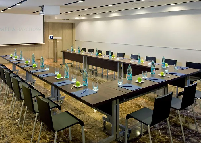 Melia Sarria 5*