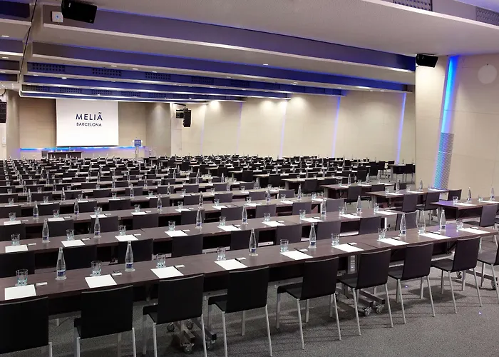 Hotel Melia Sarria 5*