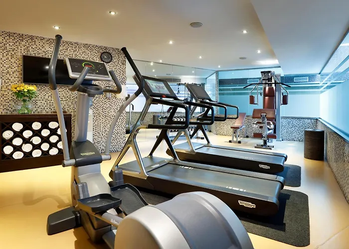 Melia Sarria Hotel 5*