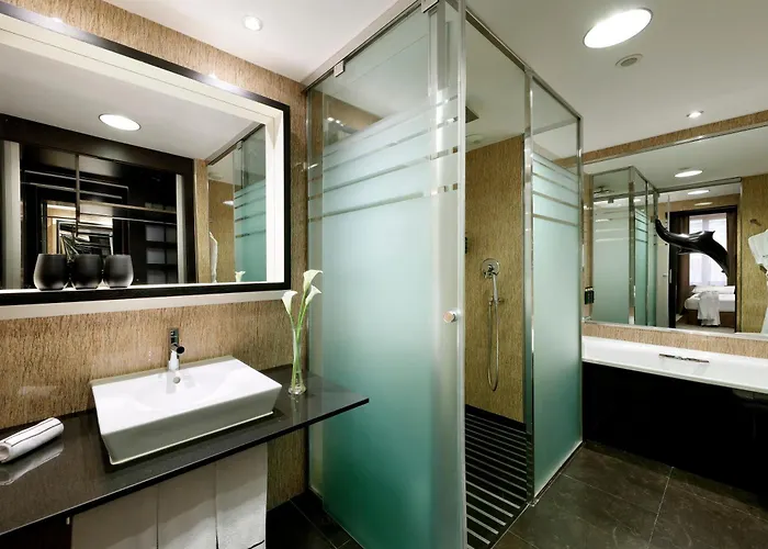 Melia Sarria 5*